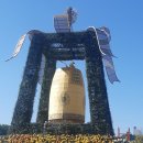 익산 국화꽃 축제 이미지