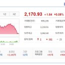 피플네트웍스주