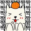 앨리스 베이커리 카페 이미지