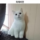 위드미미 | [SNPE] 위드 벨라_다리 라인 온라인 클래스_후기