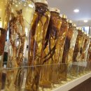 심마니약초삼계탕 이미지