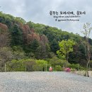 우니메이카 - 고령군 백리로 391-16 | 우니메이카