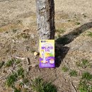 ㈜우리돌 | 베베쿡 신제품 아들 셋 맘이 선택한 돌아기 영양제 베베쿡 배도라지 스틱 찐후기