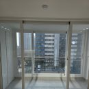 백마중학교 | 고양시 백석동 입주청소 백송마을아파트 구축 인테리어 후 바로 입주 가능한 상태로 만든 과정