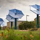 해바라기태양광 이미지