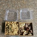 푸드존 | [호요랜드 2025 후기] 10월 10일(금) └스타레일 푸드존 위치, 후기, 소요시간 등