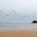 신두사구화장실 이미지