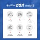 제주도 뚜벅이 여행 추천! 동부 일일투어 [트립이즈마인 리무진 버스 투어] 내돈내산 후기