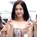 블랙팬시 이미지