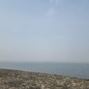 배곧한울공원 이미지