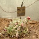 박종학농장 이미지