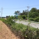 신광주유소 이미지