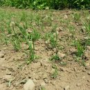 바산농장 이미지