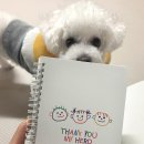 마이히어로 | 소아암 후원 [땡큐마이히어로] B6 노트 후기💛 작은 응원, 큰 마음