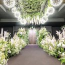 비엔티 카카오 검색결과