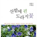 자연에서 이룬 존재의 정원 -강흥구 수필집 ＜산밭에 핀 도라지꽃＞- 이미지