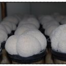 근수농장 이미지