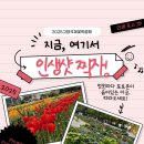 지금여기꽃