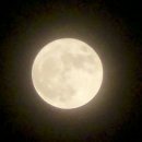 Once in a blue moon 이미지