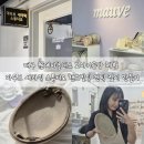 (6/5 저녁반)나만의 도자기 만들기 | 대구 원데이클래스 도자기공방 체험 마우브 세라믹 스튜디오 핸드빌딩 엔틱 접시 만들기