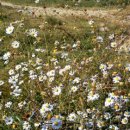 풍경이있는펜션 이미지