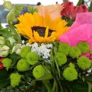 풍년염소농장 이미지