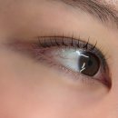 대전 둔산동 속눈썹펌 추천 [키리주] – 자연스럽고 또렷한 시그니처 펌 후기