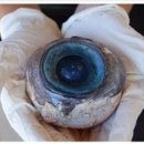 지노포트 이미지