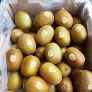 (주)골드레몬 이미지