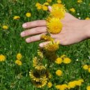 치유명상 심리상담연구소 이미지