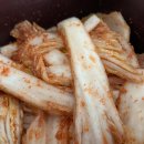 대관령원예농협 APC | 초간단 알배기배추 겉절이 대관령원예농협 고갱이 절임배추