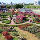 조선대학교 이미지