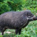 중수농장 이미지