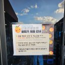 산물 | 제주투어패스 귤 따기 체험 두 곳 후기, 쇠소깍 산물 관광농원과 포레스트텐저린