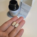 맥주습관 티스토리