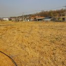 삼화제2농장 이미지