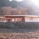 영월집 Daum카페