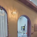 댕며들개 이미지