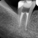 예성치과의원 이미지