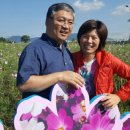 신풍주유소 이미지