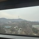 더 남산 | 서울신라호텔 솔직 후기, 남산뷰 객실부터 더파크뷰 조식까지 완벽했던 하루