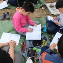 가조초등학교 이미지