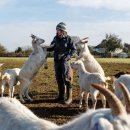 블루힐농장 이미지