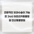 아프리카동물병원 | 전문적인 외과수술이 가능한 24시 아프리카동물병원 안산동물병원