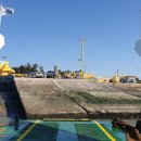 선도수선화 이미지