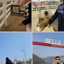 예담인 이미지