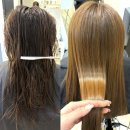[남양주 다산동 미용실] 살롱드크라운 헤어클리닉 후기: 아자미 모도스 VIP 케어로 푸석모에서 물미역...