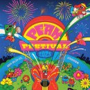 PEAK FESTIVAL 2025💙 | 밴드 붐은 온다🎸 | 피크 페스티벌 후기 🎼