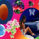 우리들이 보는 세상 이미지