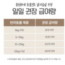 롱런하개 | 무항생제 강아지 동결건조 간식 추천｜롱런하개 치킨 미니트릿으로 댕냥이 펫푸드 정착